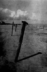 Irrwald : Marching Through Tolerant Subhuman Being - War & Despotism